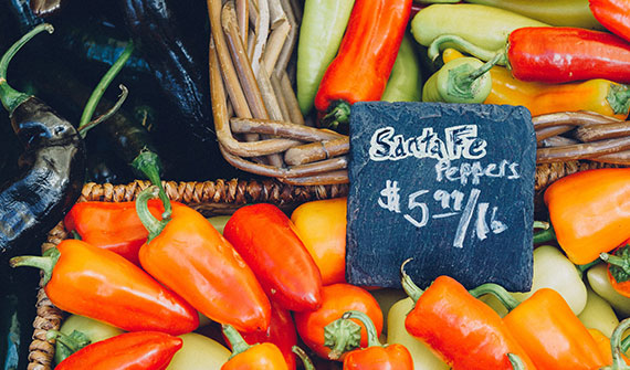 Market Fresh. Step outside of your apartment at Beckwith Square and explore downtown Carleton Place. Find the Farmer’s Market right next door for all your locally grown vegetables, homemade pastries and crafts.